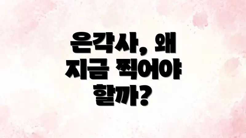 은각사, 왜 지금 찍어야 할까?