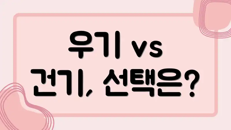 우기 vs 건기, 선택은?