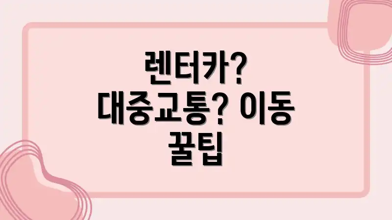 렌터카? 대중교통? 이동 꿀팁
