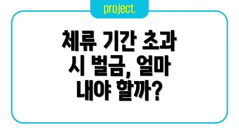 체류 기간 초과 시 벌금, 얼마 내야 할까?