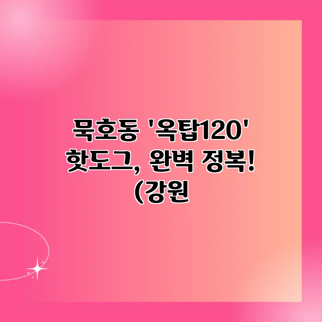 묵호동 ‘옥탑120’ 핫도그, 완벽 정복! (강원