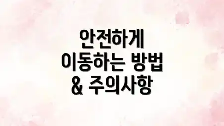 안전하게 이동하는 방법 & 주의사항