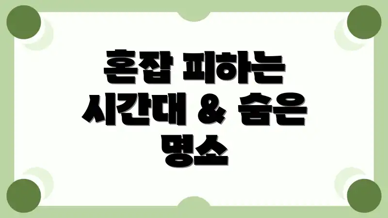 혼잡 피하는 시간대 & 숨은 명소