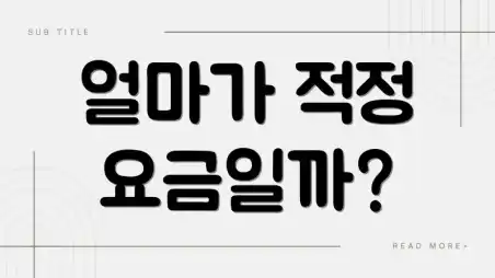 얼마가 적정 요금일까?