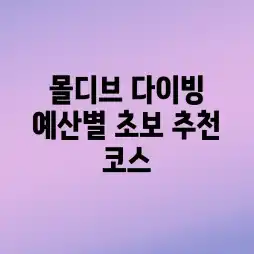 몰디브 다이빙, 예산별 초보 추천 코스!