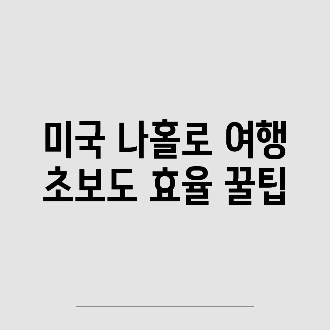 미국 나홀로 여행! 초보도 효율 꿀팁