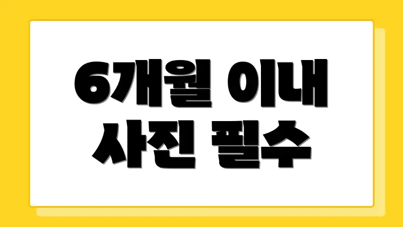 6개월 이내 사진 필수
